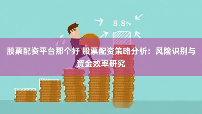 股票配资平台那个好 股票配资策略分析：风险识别与资金效率研究